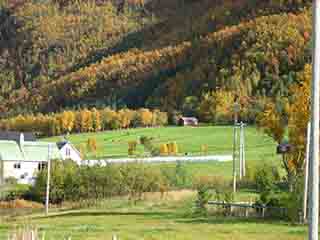 Autumn pasture along Klemmartindan (Near Fevika, Norway)