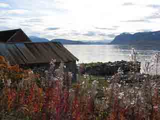 Old boathouse/pier through autumn grass (Near Bakkeby, Norway)