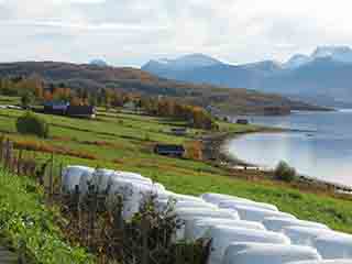 Farms and hay harvest along the fjord (Near Bakkeby, Norway)