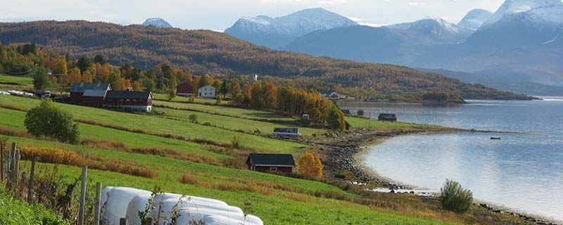 Farms and hay harvest along the fjord (Near Bakkeby, Norway)