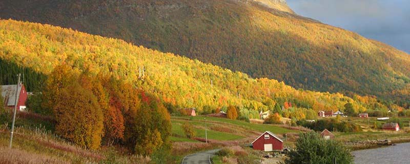 Fiery artistry on Mortenhalsskolten (From Bakkeby, Norway)