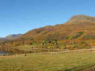 Idyllic autumn pasture (wide) (Mortenhals, Norway)