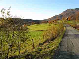 Autumn-verdant mountain farm fields (Fjellbygda, Norway)