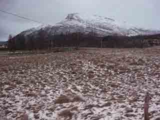 Matted field sleeps under powdered snow (Sand, Norway)