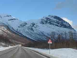 Moose-alert stretch near Skjelelvhøgda (Lavangsdalen, Norway)