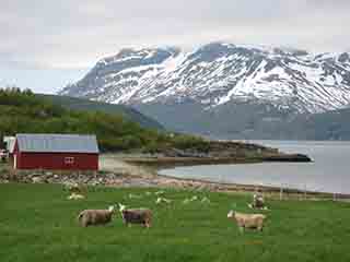 Baaaa? What does he think we are, sheep? (Sand, Norway)