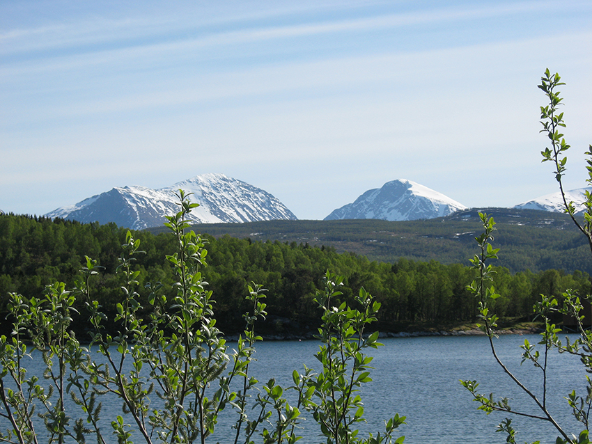 Spring in green, white, and blue (From Mestervik, Norway)