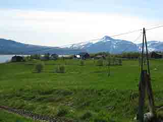 Fields of life (Norby, Norway)