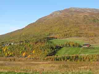 Mountain farms rise into autumn (Mortenhalsskolten, Norway)