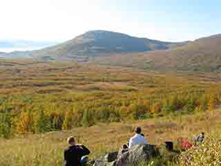 What a view while picking blueberries (From Kvannfjellet, Norway)