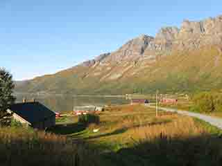 Mountain majesty even in waning life (From Fevika, Norway)