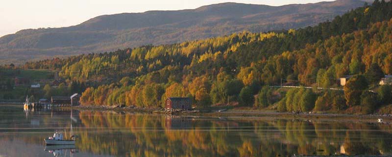 Autumn gently mirrored in the cove (Near Mestervik, Norway)