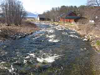 Sandselva frolics by 69-grader nord school (Mortenhals, Norway)