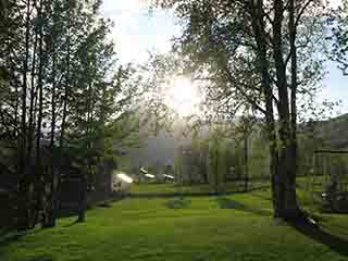 Verdant lawns celebrate spring (Nordkjosbotn, Norway)