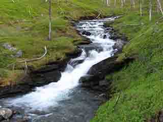 Peaceful mountain stream (Mortenhalsskolten, Norway)