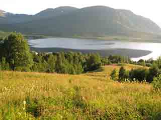 Divine summer art in land and water (Tårnvatnet, Norway)