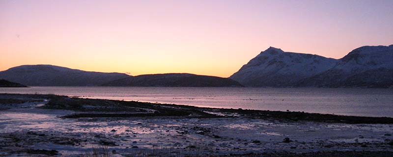 Pastel Christmas sunset at 12:25pm (From Mortenhals, Norway)