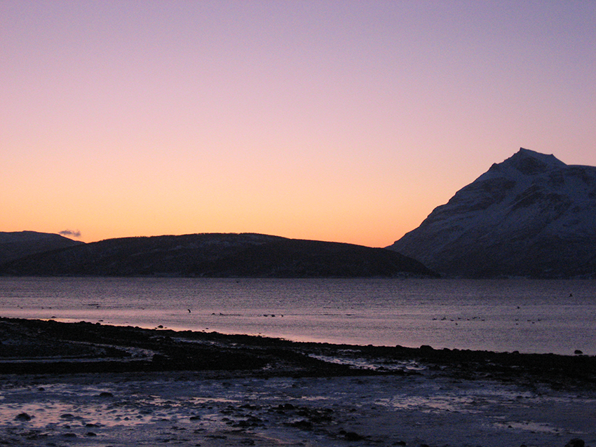 Pastel Christmas sunset at 12:26pm (From Mortenhals, Norway)