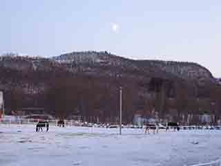 Horses under a peaceful Christmas moon (Mortenhals, Norway)