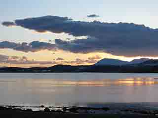 Seagull soars against ember sunset (From Storbukta, Norway)